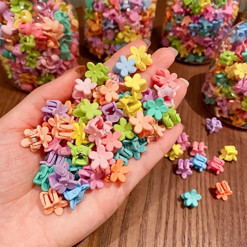 Classic Mini Hair Claw Clips