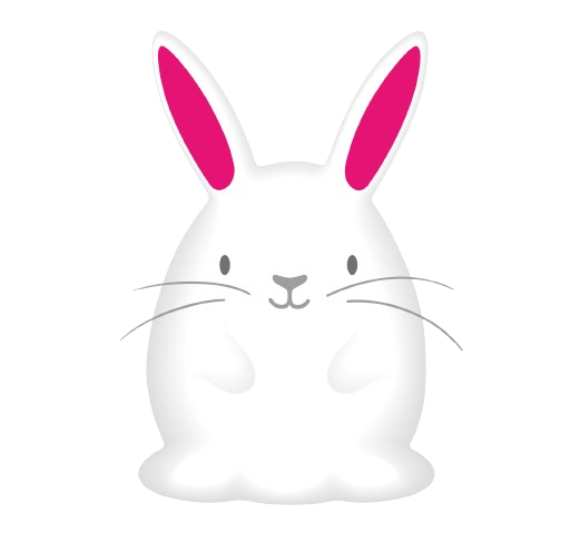 Cute Bunny